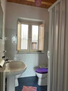 une salle de bain avec un lavabo, des toilettes et une baignoire dans l'établissement la casa dei ricordi, à Castelluccio Superiore