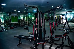 Fitness centrum a/nebo fitness zařízení v ubytování HAWADA PIONEER