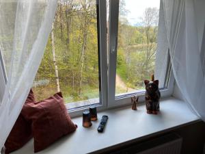 Fotografie z fotogalerie ubytování Hotel "Senleja" v destinaci Sigulda