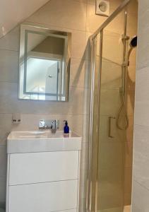 a bathroom with a sink and a shower with a mirror at Cosy accommodation, easy walk to beach! in Barton on Sea