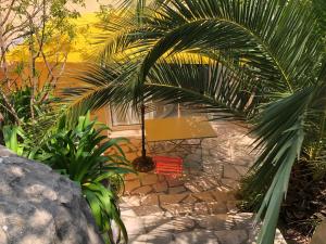 Um jardim em L’appartement - Jardin Secret