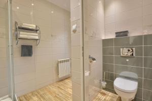 y baño pequeño con aseo y ducha. en Apartamenty w Bieszczadzkim Horyzoncie, en Ustrzyki Dolne