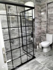 a bathroom with a toilet and a glass shower at TRABZON-AKÇAABAT/MERSİN in Vartara