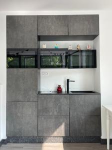 a kitchen with gray cabinets and a sink at Hotel "Senleja" in Sigulda