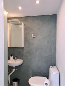 een badkamer met een wit toilet en een wastafel bij Sadama Stay in Haapsalu