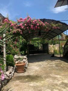 a pergola with pink flowers in a yard at Guesthouse BATU in Kutaisi