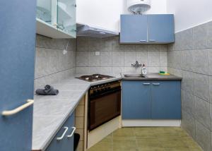 a small kitchen with blue cabinets and a sink at Vila Bor apartmani in Bečej