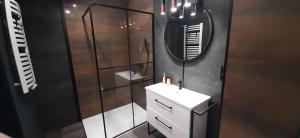 uma casa de banho com um lavatório e um chuveiro com um espelho. em Belweder LOFT em Nysa