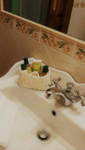 un lavabo con una cesta encima en Le Civette Country Resort, en Bagno a Ripoli