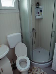 a small bathroom with a toilet and a shower at Mobile home Aurora in Sveti Juraj