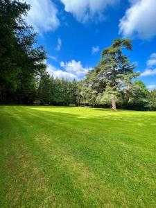 ein großes grünes Feld mit einem großen Baum darin in der Unterkunft The Beeches - Entire Mansion in Bristol