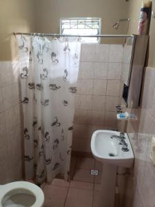 a bathroom with a shower curtain and a toilet and a sink at Alojamiento El Remanso in Puerto Iguazú
