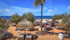 een strand met stoelen en parasols en een palmboom bij penthouse with great sea view and natural reserve - magnificent swimming pool - calm and bright in Palm-mar