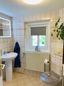 uma casa de banho com um WC, um lavatório e uma janela em Naturhof Kluge em Saupsdorf