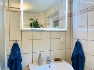 ein Bad mit einem Waschbecken und einem Spiegel in der Unterkunft Naturhof Kluge in Saupsdorf