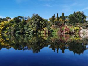 Vue sur un lac avec des arbres en arrière-plan dans l'établissement Le Castelviel, à Albi