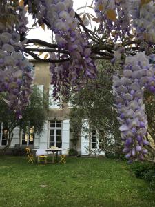 un árbol con flores púrpuras delante de una casa en Villa Mitsou, en Melle