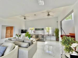 ein großes Wohnzimmer mit Sofas und einem TV in der Unterkunft Olive Branch Villa *Luxury/ Fine Dining* in Oracabessa