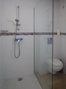 a bathroom with a shower and a toilet at songes d été2 in Bonifacio