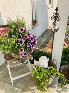 a basket of flowers sitting on a bench at Das Ferienhaus-zurück zum Ursprung in Güssing