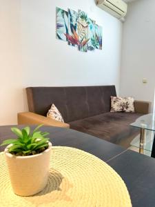 a living room with a couch and a table with a plant at Sunshine Romance Apartment in Kranevo