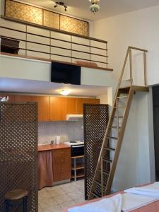 Kuchyňa alebo kuchynka v ubytovaní Coastal Apartments Volos Alykes