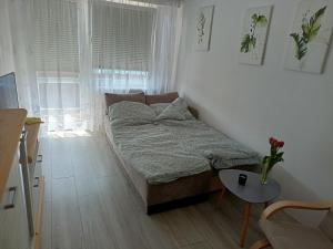 a small bedroom with a bed and a table at Apartament Mazury in Olecko