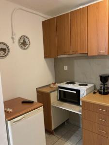 Kuchyňa alebo kuchynka v ubytovaní Coastal Apartments Volos Alykes
