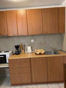 Kuchyňa alebo kuchynka v ubytovaní Coastal Apartments Volos Alykes