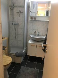 W łazience znajduje się umywalka, prysznic i toaleta. w obiekcie Gemütliches Apartment mit wundervollem Weitblick w mieście Löffingen