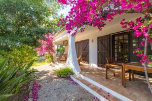 a patio with a wooden bench under a tree with pink flowers at VILLA SOL in Silves