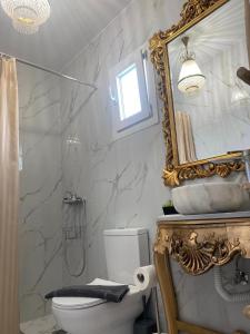 uma casa de banho com um WC e um espelho. em Mykonos Secret Spot em Míconos