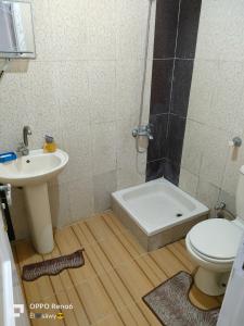 a bathroom with a toilet and a sink and a shower at الساحل الشمالي in El Alamein