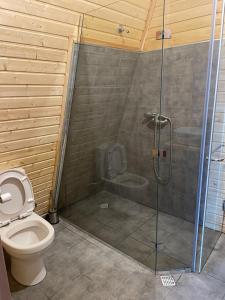 uma casa de banho com um chuveiro e um WC. em Gurgeniani Twin Cottages em Lagodekhi