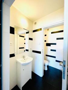 a bathroom with a sink and a toilet at Pro-Invest House in Wrocław