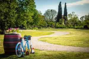 a blue bike parked next to a gravel path at Camping Freedom Istria Pitches in Foli