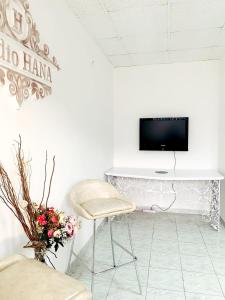 Lux Apartman Hana في Prijepolje: غرفة انتظار مع كرسي وتلفزيون على الحائط