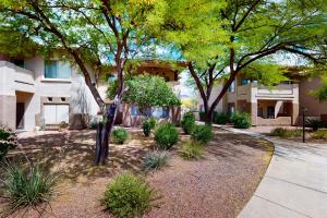 un jardin avec des arbres et des plantes devant un bâtiment dans l'établissement Vistoso Resort Casita #143, à Oro Valley