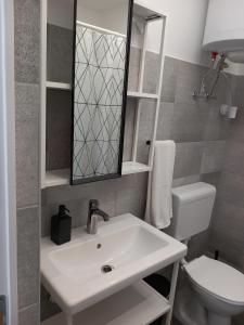 a bathroom with a sink and a toilet and a mirror at Gemini Apartman in Esztergom