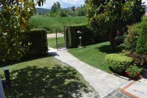 Κήπος έξω από το Nakis Apartment All Seasons +79 φωτογραφίες