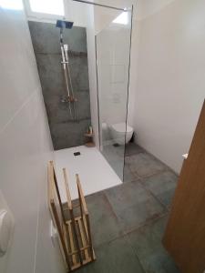 2 sedie in bagno con doccia di Grand studio spacieux et climatisé a Saint-Raphaël