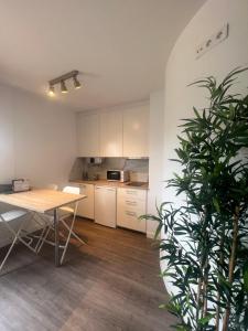 - une cuisine avec une table et une plante dans une pièce dans l'établissement Apartamentos Dacosta, à Ribadeo