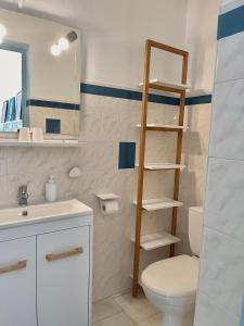 ein Badezimmer mit einem WC, einem Waschbecken und einem Spiegel in der Unterkunft Les Volets Bleus in Spéracèdes