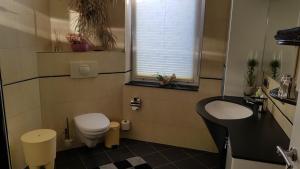 een kleine badkamer met toilet en wastafel bij ALACARD Ferienwohnungen Höffgen Thale Harz in Thale