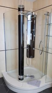 een douche met een glazen deur in een badkamer bij ALACARD Ferienwohnungen Höffgen Thale Harz in Thale
