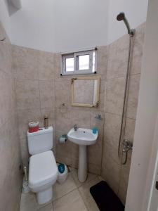 a bathroom with a toilet and a sink at Aires del Sur in Bahía Blanca