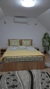 1 dormitorio con 1 cama grande con alfombra en Casa Gabi, en Corbu