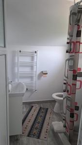 een badkamer met een wastafel, een toilet en een douchegordijn bij Casa Gabi in Corbu