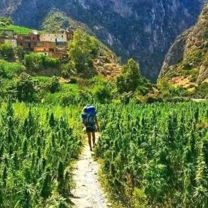 a person walking down a dirt road in a field at Ferme de cannabis à ketama in Tlata Ketama