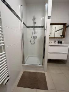 a bathroom with a shower with a sink and a shower at Bel appartement à 15 min de Lyon in Saint-Fons